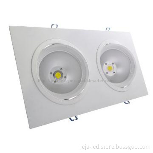 20W led down light with bridgelux